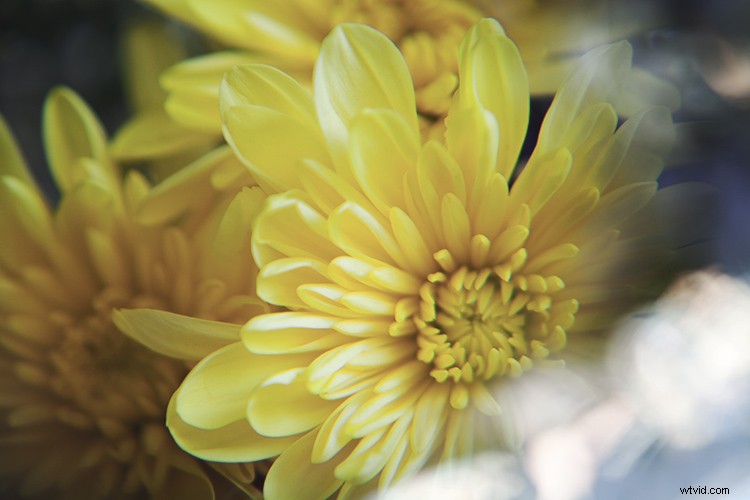 Create Stunning Artistic Photos with a Magnifying Glass: Pro Techniques Revealed