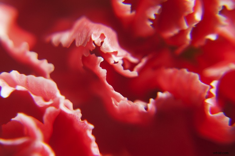 Create Stunning Artistic Photos with a Magnifying Glass: Pro Techniques Revealed