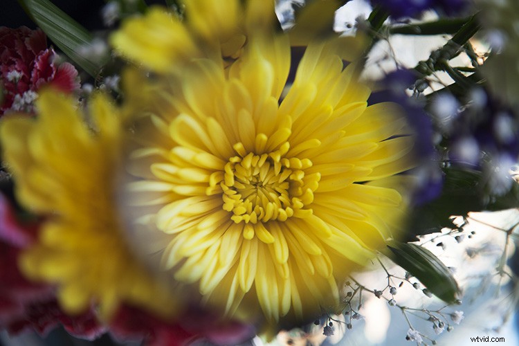 Create Stunning Artistic Photos with a Magnifying Glass: Pro Techniques Revealed