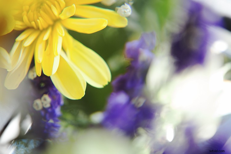 Create Stunning Artistic Photos with a Magnifying Glass: Pro Techniques Revealed