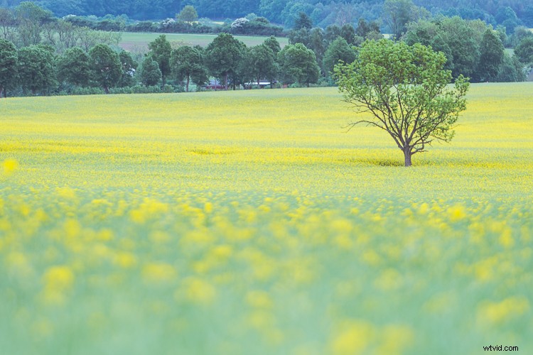 10 Proven Steps to Elevate Your Photography Skills Without New Gear