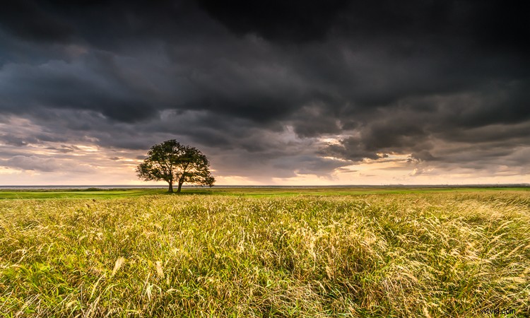 10 Proven Steps to Elevate Your Photography Skills Without New Gear