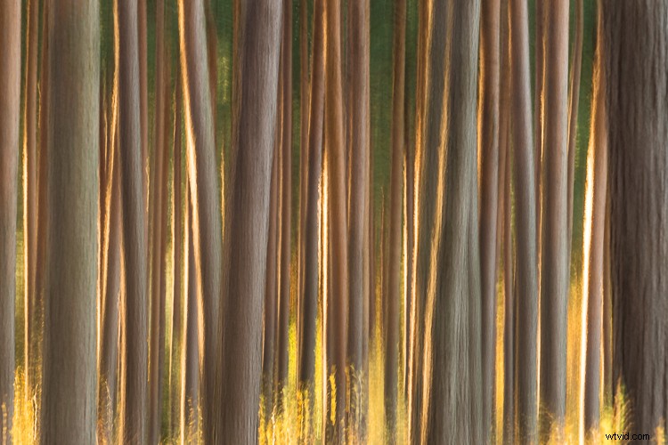 10 Proven Steps to Elevate Your Photography Skills Without New Gear