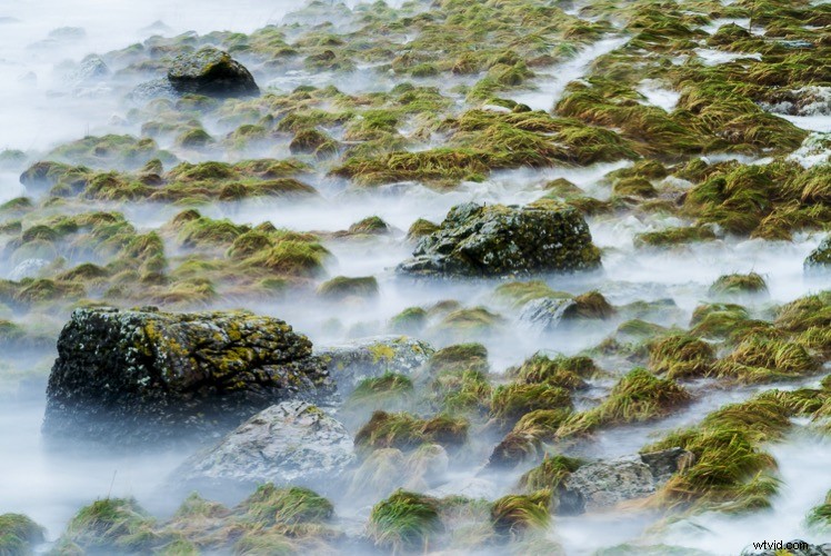 10 Proven Steps to Elevate Your Photography Skills Without New Gear