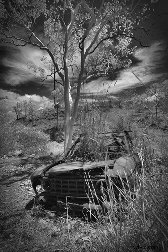 Elevate Black & White Photos: Master Infrared Photography Techniques