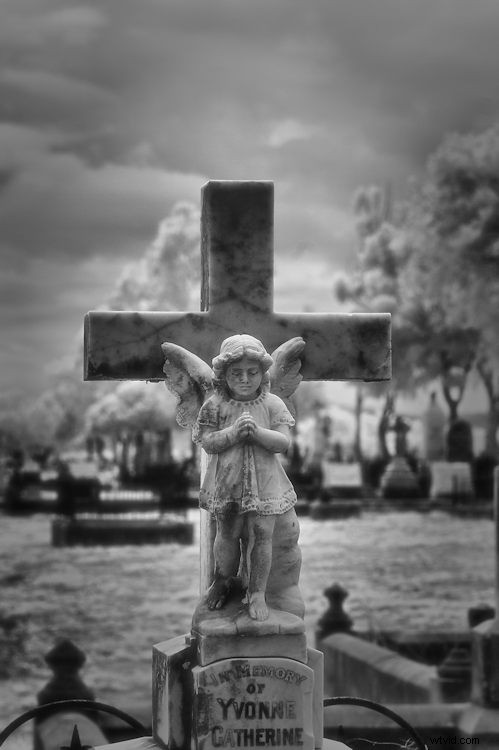 Elevate Black & White Photos: Master Infrared Photography Techniques