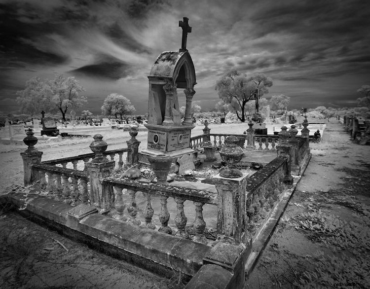 Elevate Black & White Photos: Master Infrared Photography Techniques