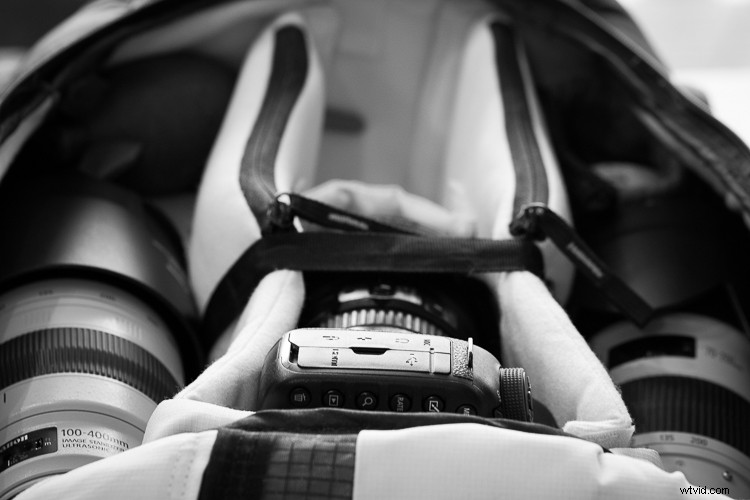 Canon EF 100-400mm f/4.5-5.6L IS II USM: A dPS Writer s Go-To Lens for Wildlife Photography