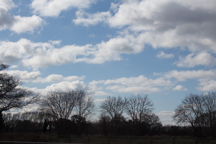 Master In-Camera Multiple Exposures: Step-by-Step Photography Guide