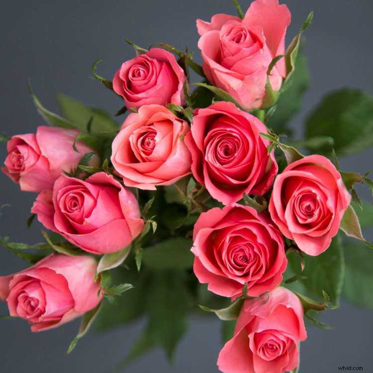 Master In-Camera Multiple Exposures: Step-by-Step Photography Guide