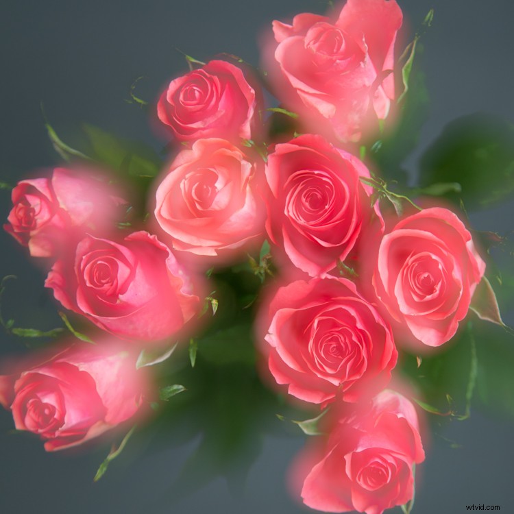 Master In-Camera Multiple Exposures: Step-by-Step Photography Guide