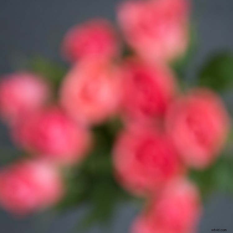 Master In-Camera Multiple Exposures: Step-by-Step Photography Guide