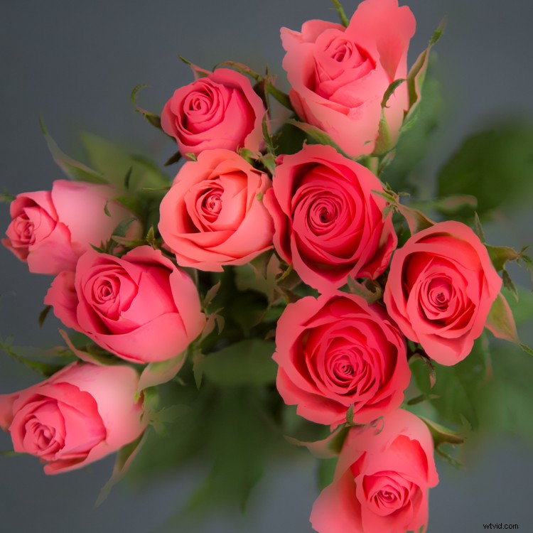 Master In-Camera Multiple Exposures: Step-by-Step Photography Guide