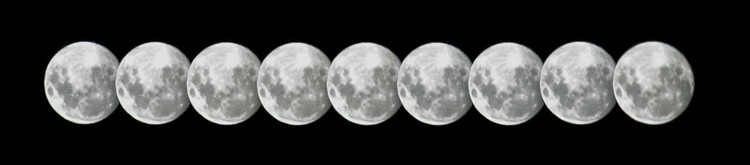 Master In-Camera Multiple Exposures: Step-by-Step Photography Guide