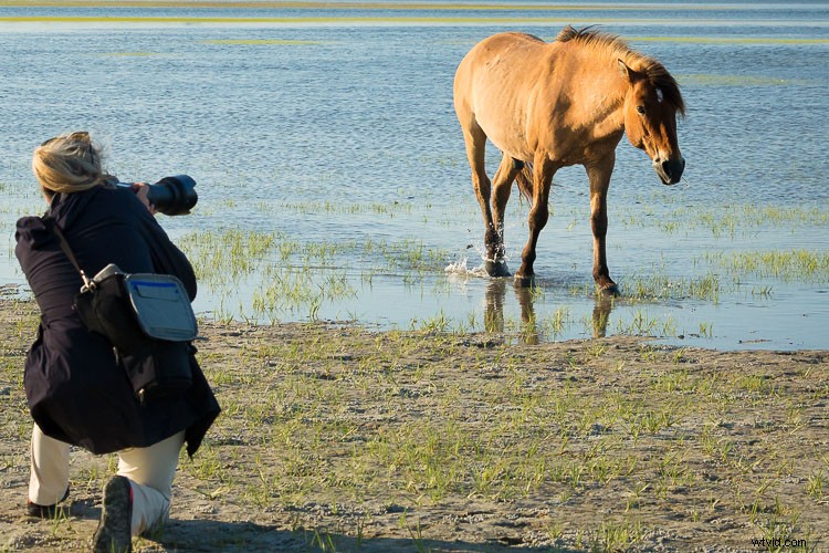 Eco-Friendly Nature Photography: Low-Impact Tips for Ethical Wildlife Shooting
