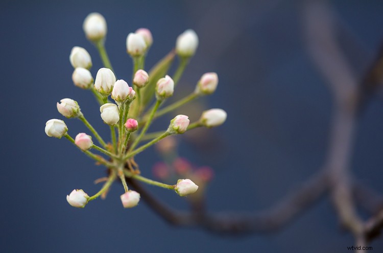 Eco-Friendly Nature Photography: Low-Impact Tips for Ethical Wildlife Shooting