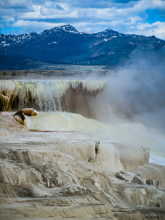 Eco-Friendly Nature Photography: Low-Impact Tips for Ethical Wildlife Shooting
