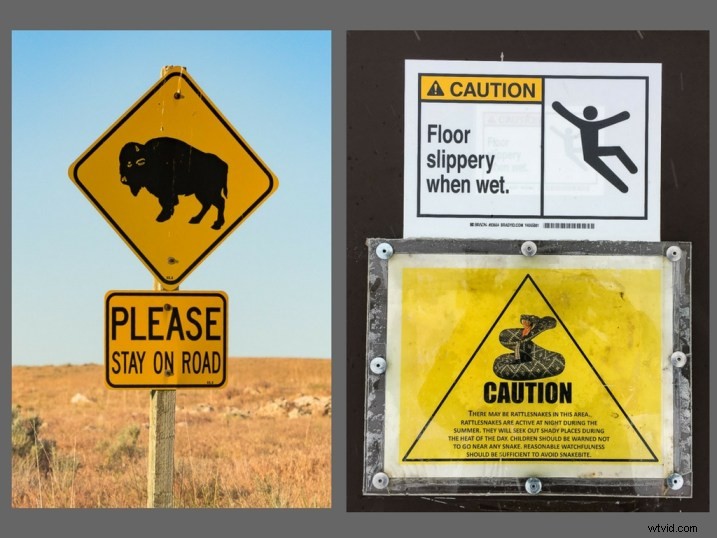 Eco-Friendly Nature Photography: Low-Impact Tips for Ethical Wildlife Shooting