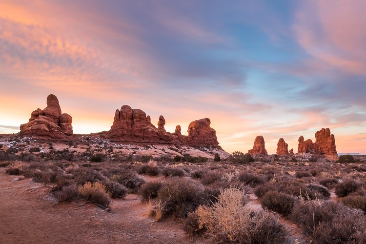 Eco-Friendly Nature Photography: Low-Impact Tips for Ethical Wildlife Shooting