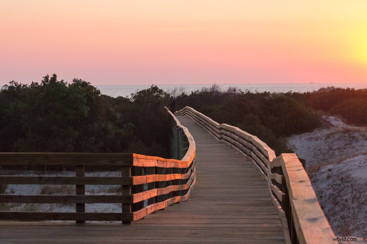 Eco-Friendly Nature Photography: Low-Impact Tips for Ethical Wildlife Shooting