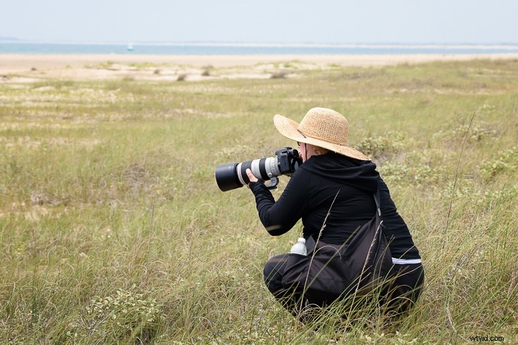 Eco-Friendly Nature Photography: Low-Impact Tips for Ethical Wildlife Shooting