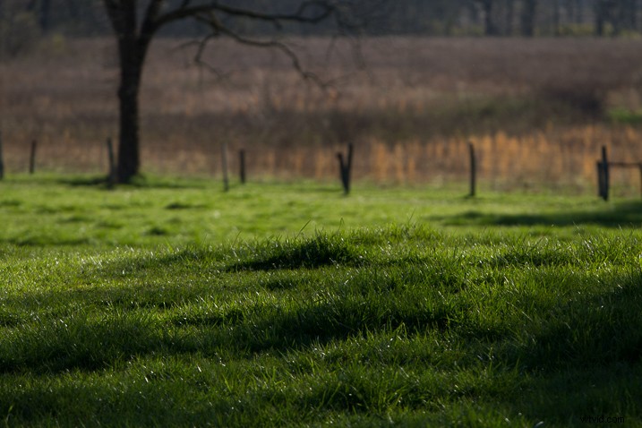 Expert Guide: How to Evaluate and Buy Your Next Camera Lens