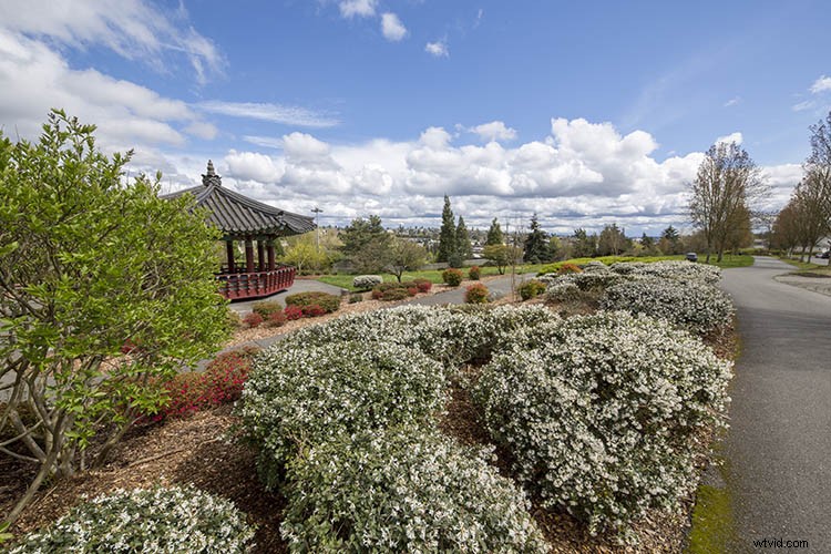 Sigma 12-24mm f/4 DG HSM Art Lens: In-Depth Field Test and Review