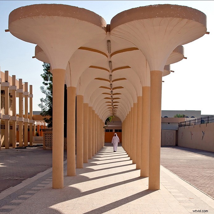 5 Essential Photography Tips Every Photographer Needs