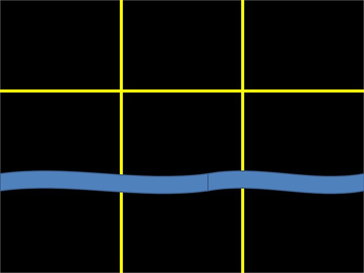 5 Essential Photography Tips Every Photographer Needs