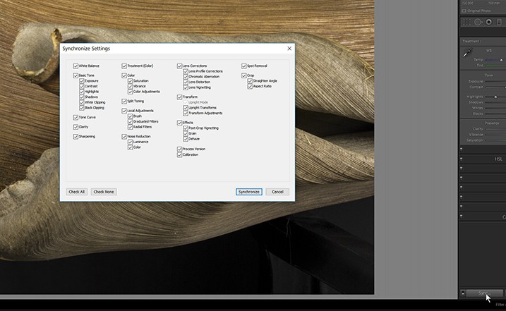 Expert Guide: Post-Processing Focus Stacked Images in Lightroom & Photoshop