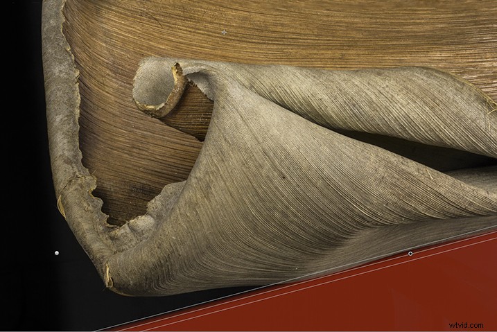 Expert Guide: Post-Processing Focus Stacked Images in Lightroom & Photoshop