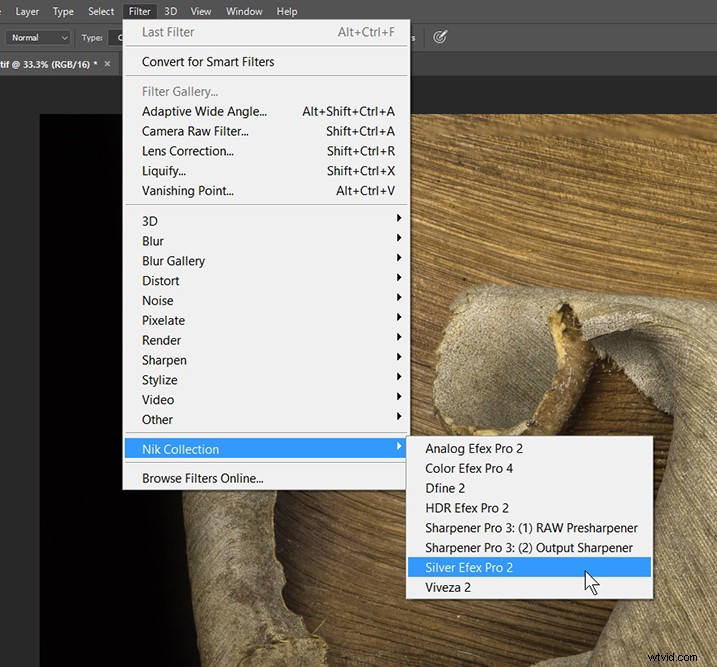 Expert Guide: Post-Processing Focus Stacked Images in Lightroom & Photoshop