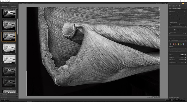 Expert Guide: Post-Processing Focus Stacked Images in Lightroom & Photoshop