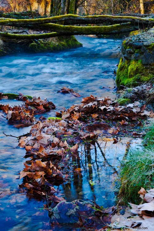 Beyond Human Vision: Capture More with Expert Photography Techniques