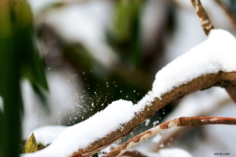 Beyond Human Vision: Capture More with Expert Photography Techniques