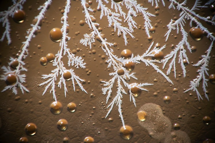 Beyond Human Vision: Capture More with Expert Photography Techniques