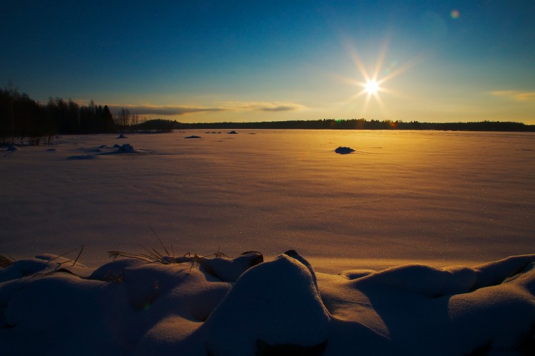 Beyond Human Vision: Capture More with Expert Photography Techniques