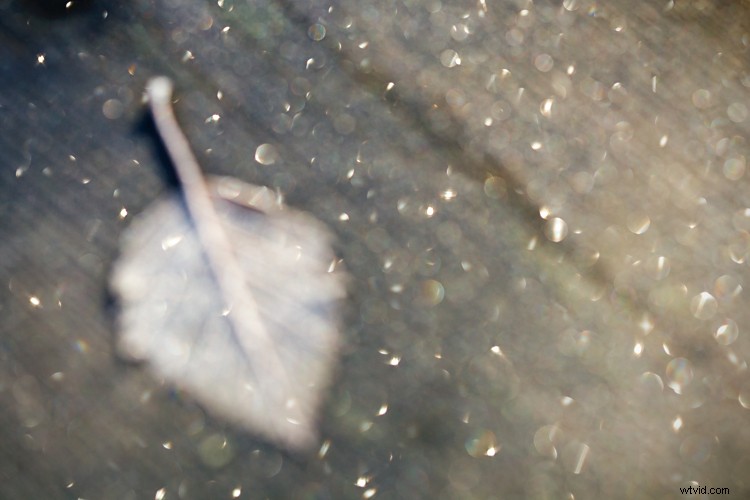 Beyond Human Vision: Capture More with Expert Photography Techniques