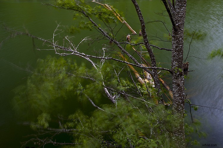 5 Expert Hacks to Elevate Your Landscape Photography