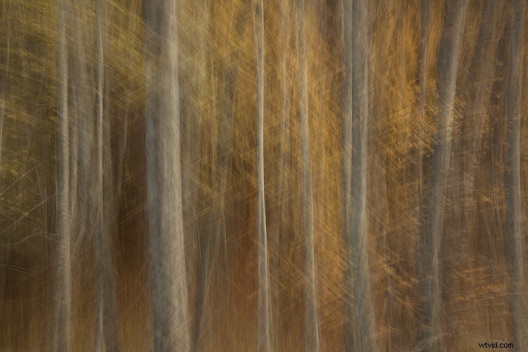 5 Expert Hacks to Elevate Your Landscape Photography