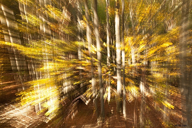 5 Expert Hacks to Elevate Your Landscape Photography