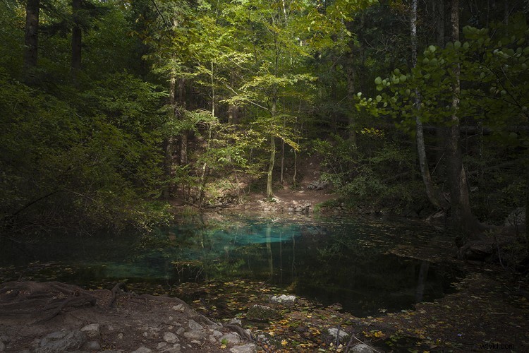 5 Expert Hacks to Elevate Your Landscape Photography