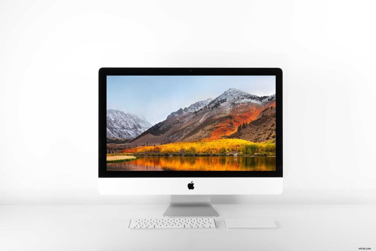 Ultimate Guide: How to Choose the Best Monitor for Professional Photo Editing