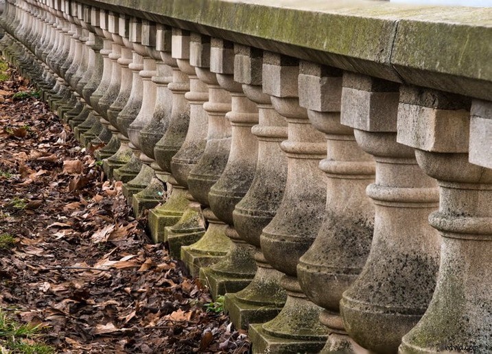 Master Focus Stacking: Step-by-Step Guide to Capturing Perfect Images