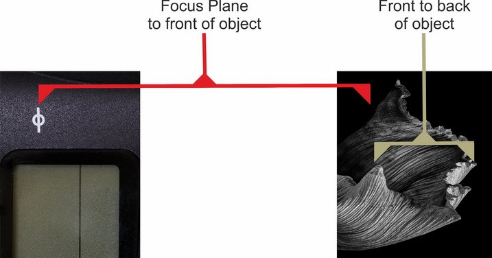 Master Focus Stacking: Step-by-Step Guide to Capturing Perfect Images