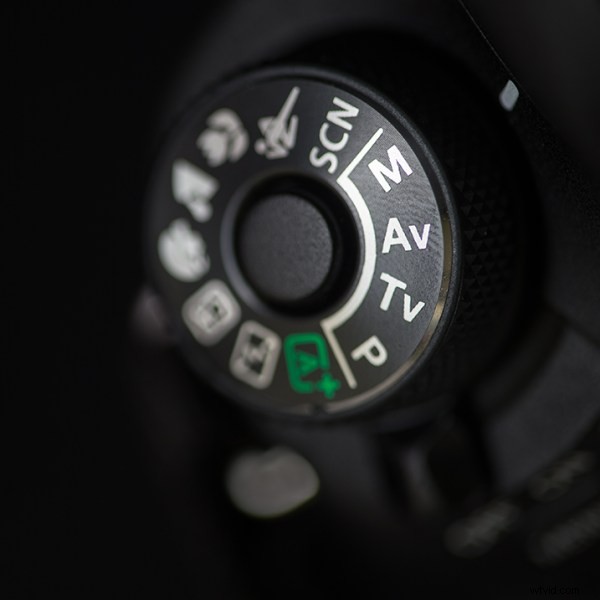 Master Focus Stacking: Step-by-Step Guide to Capturing Perfect Images