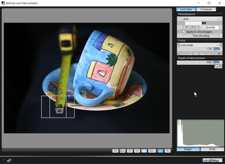 Master Focus Stacking: Step-by-Step Guide to Capturing Perfect Images