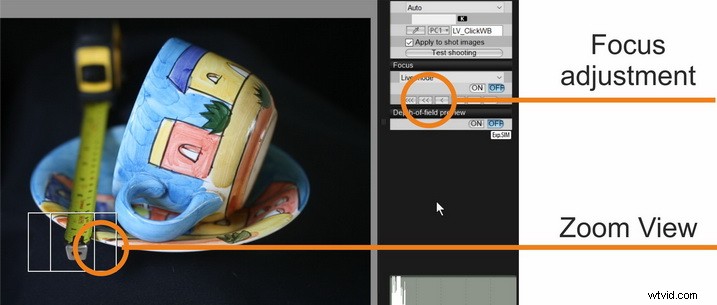 Master Focus Stacking: Step-by-Step Guide to Capturing Perfect Images