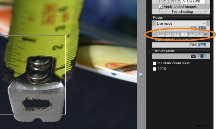 Master Focus Stacking: Step-by-Step Guide to Capturing Perfect Images