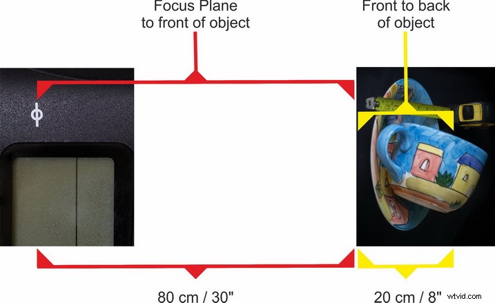 Master Focus Stacking: Step-by-Step Guide to Capturing Perfect Images